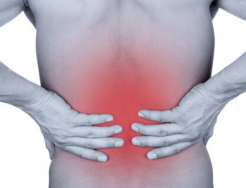Feb 19th Workshop – Low Back Pain and Sciatica