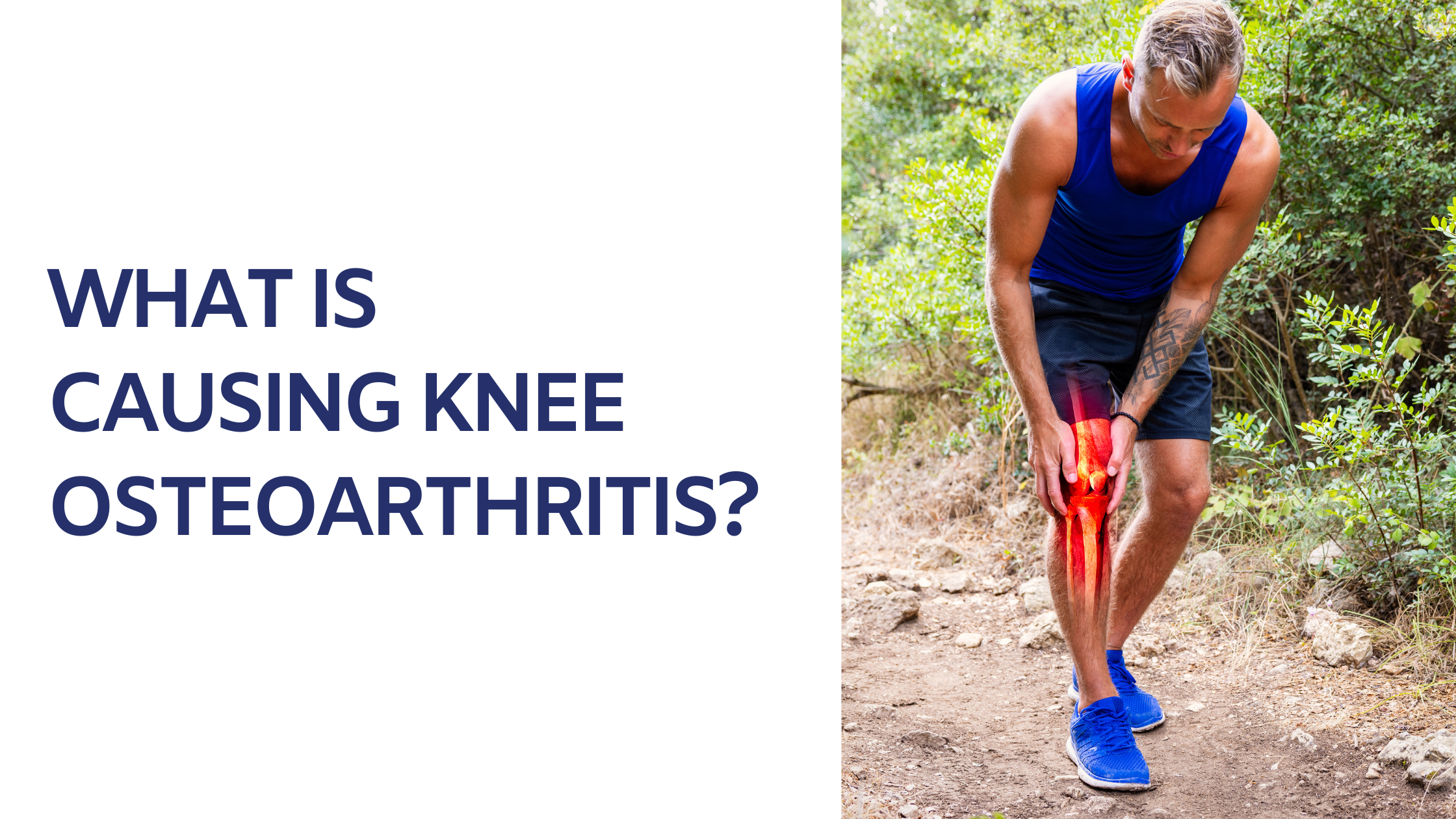 What is causing knee osteoarthritis?