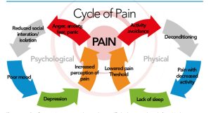 Cycle of pain